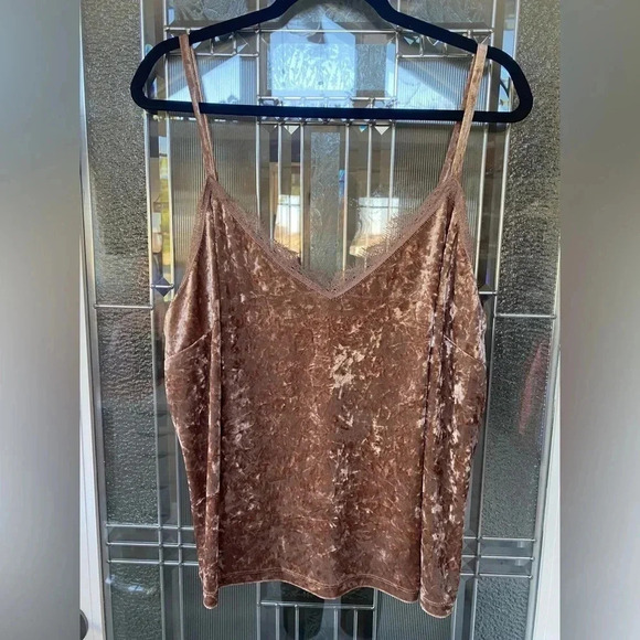 Forever 21 Tops - NWT Forever 21• Taupe velvet tank